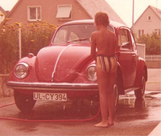 Käfer 1973