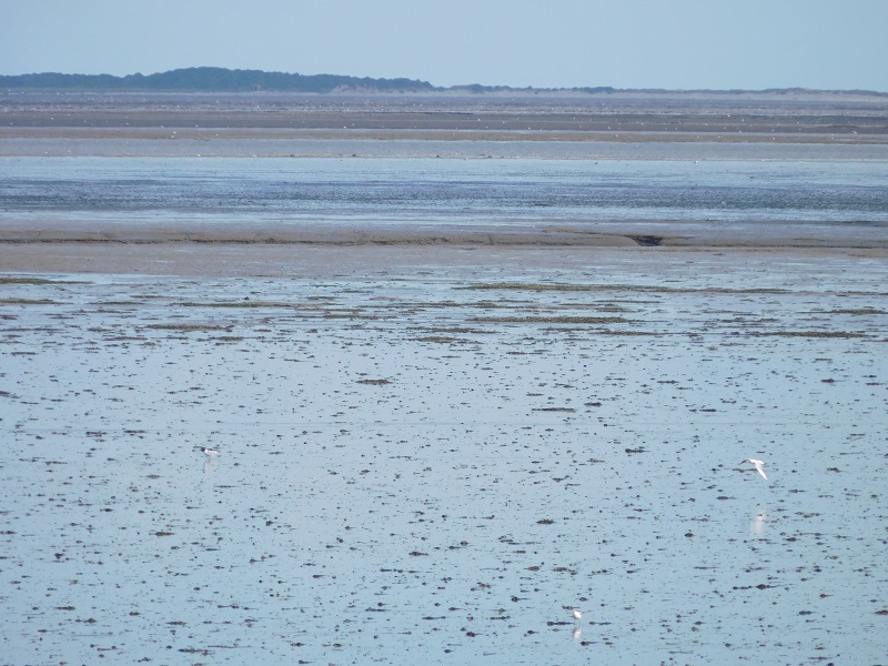 Watt willste Meer