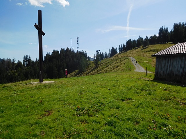 Gelbhansekopf