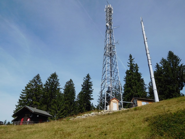 Gelbhansekopf Antenne