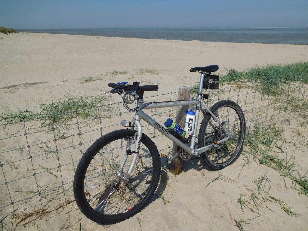 Rad Sand Schillig