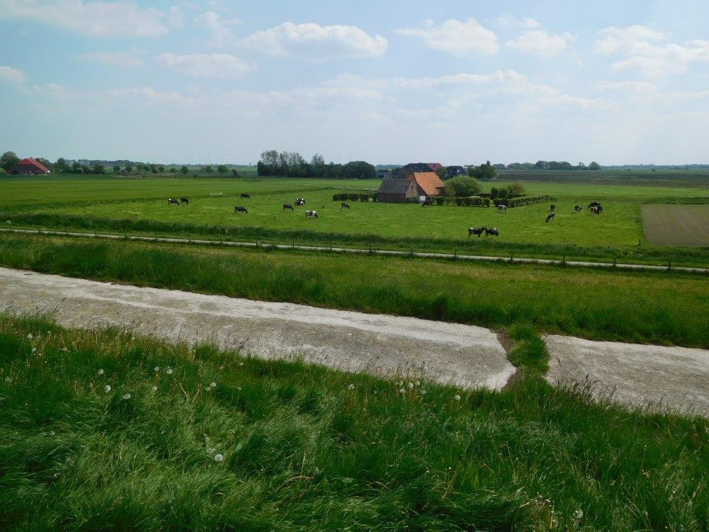 Hinterm Deich