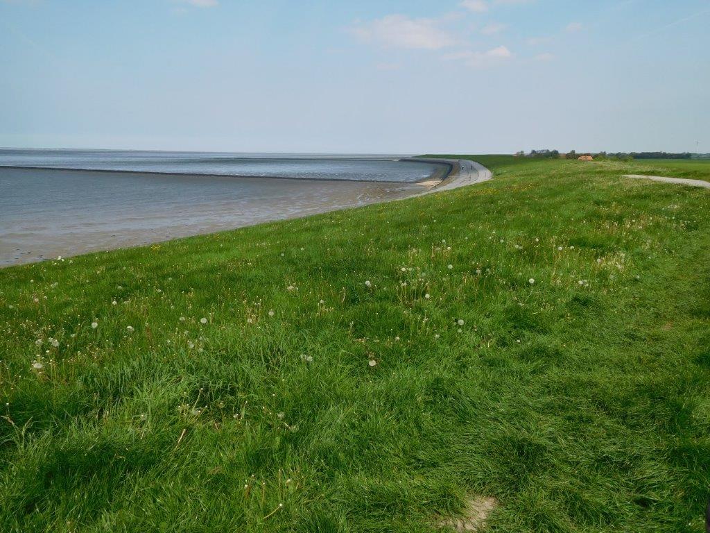 Ebbe