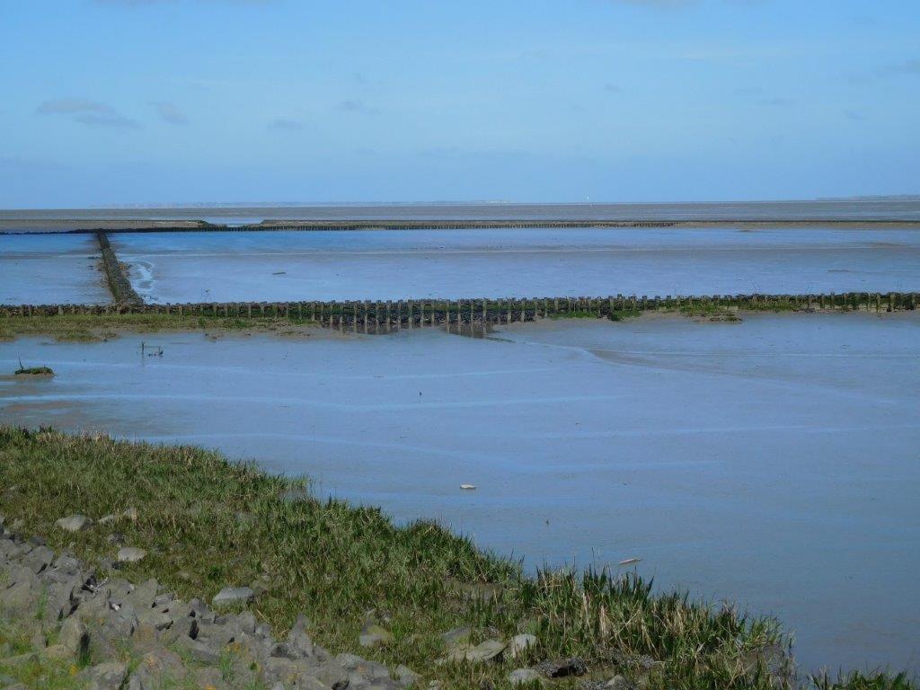 Baltrum