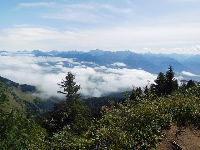 Über den Wolken auf dem Wannenkopf