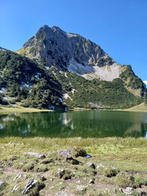 Rubihorn