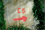 E 5