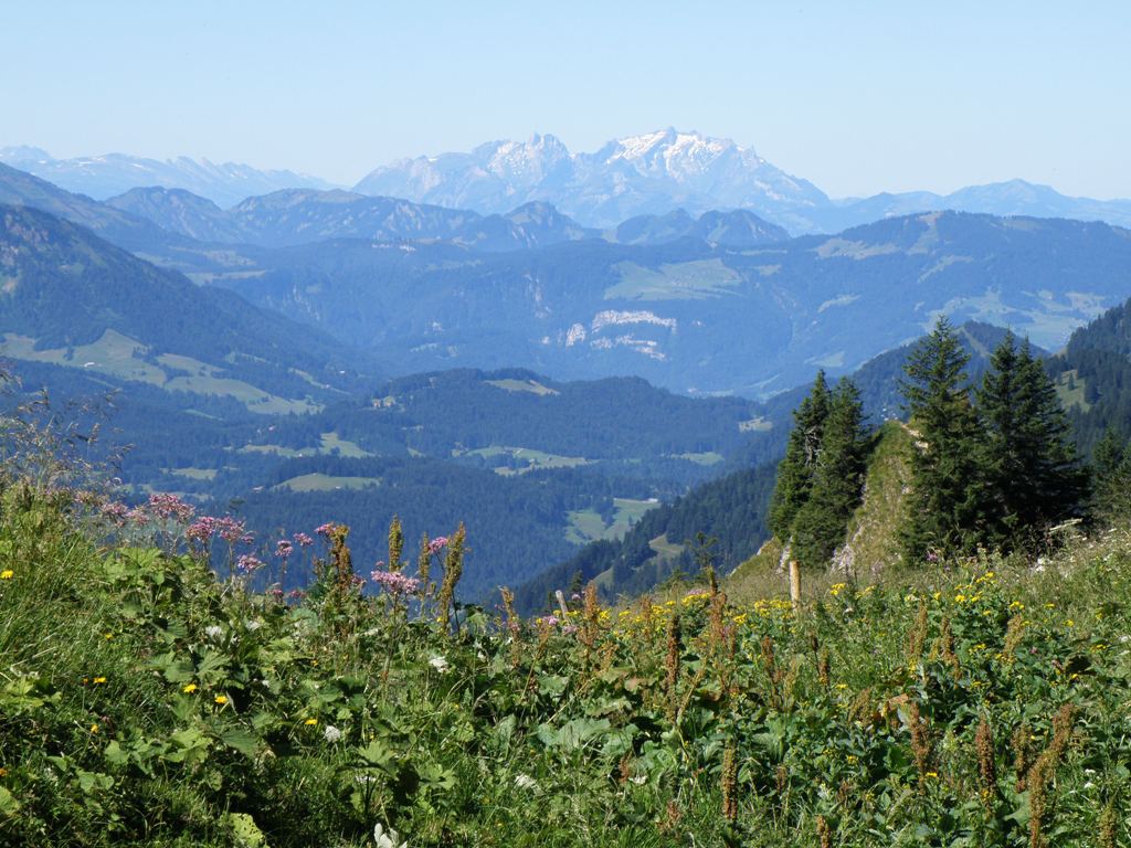 Säntisblick