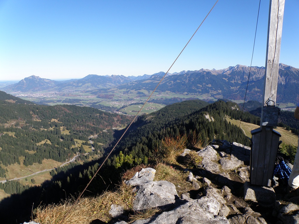 besler_gruenten_sonnenkoepfe
